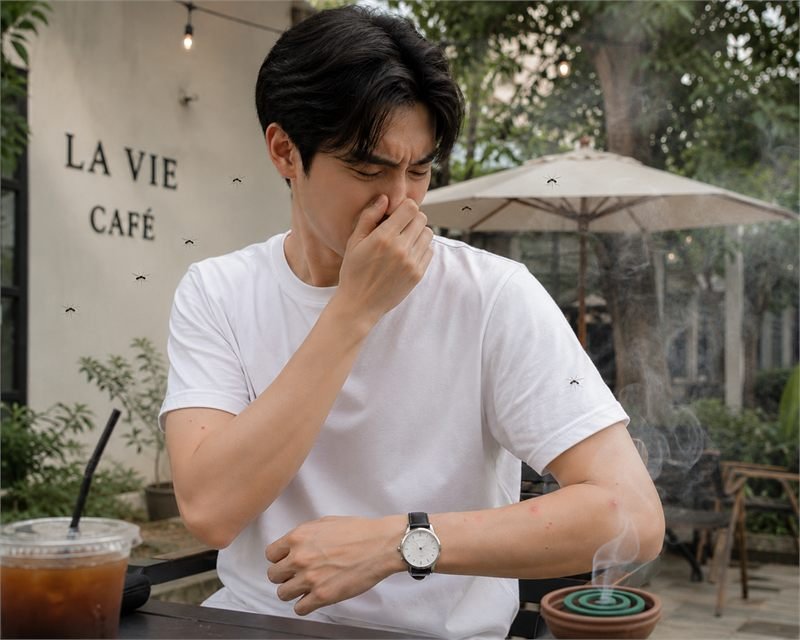 ยาจุดแบบขดสำหรับไล่ยุง